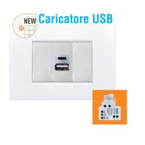 Unità di Alimentazione USB 5V 2,1A + C 1 Modulo Keystone